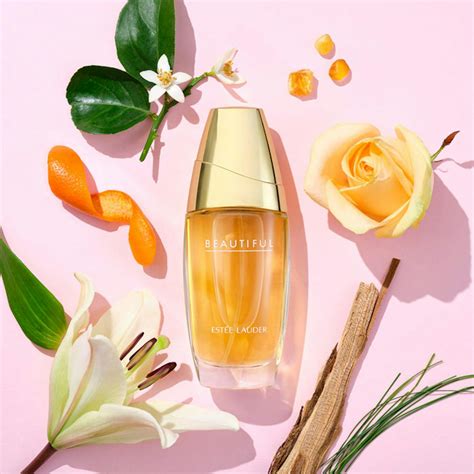 beautiful perfume estee lauder|estee lauder beautiful perfume best price.